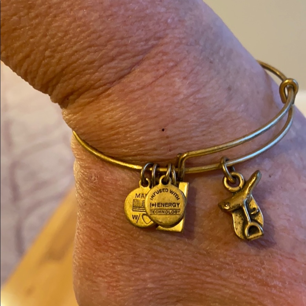 Alex and Ani saddle bangle bracelet